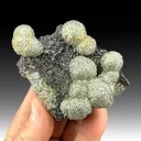 Marcasite with Sphalerite - image 1