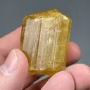 Marialite - image 2