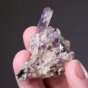 MARIALITE - image 1