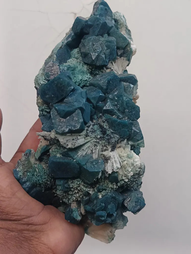 marshy Apophyllite Celadonite image