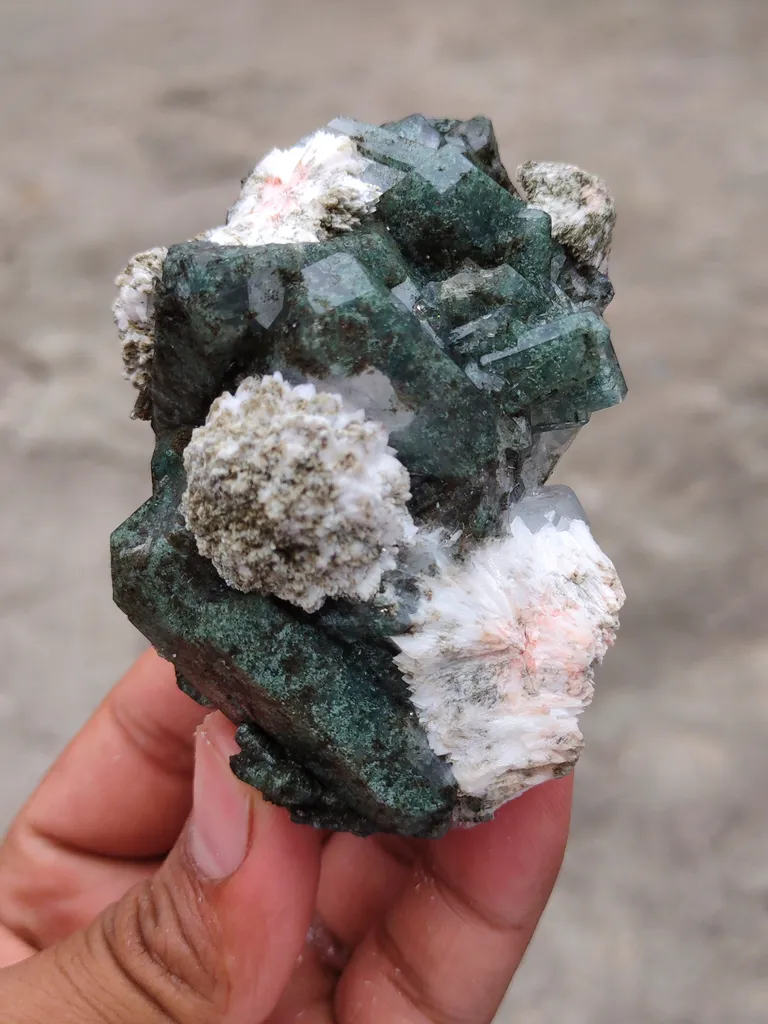 Marshy Apophyllite With Laumontite. From India - image 4