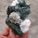 Marshy Apophyllite With Laumontite. From India - image 4