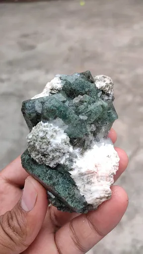 specimen video