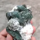 specimen video