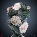Marshy Apophyllite With Laumontite. From India - image 1