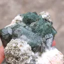 Marshy Apophyllite With Laumontite. From India - image 5
