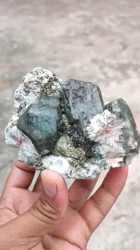 specimen video