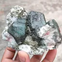 specimen video
