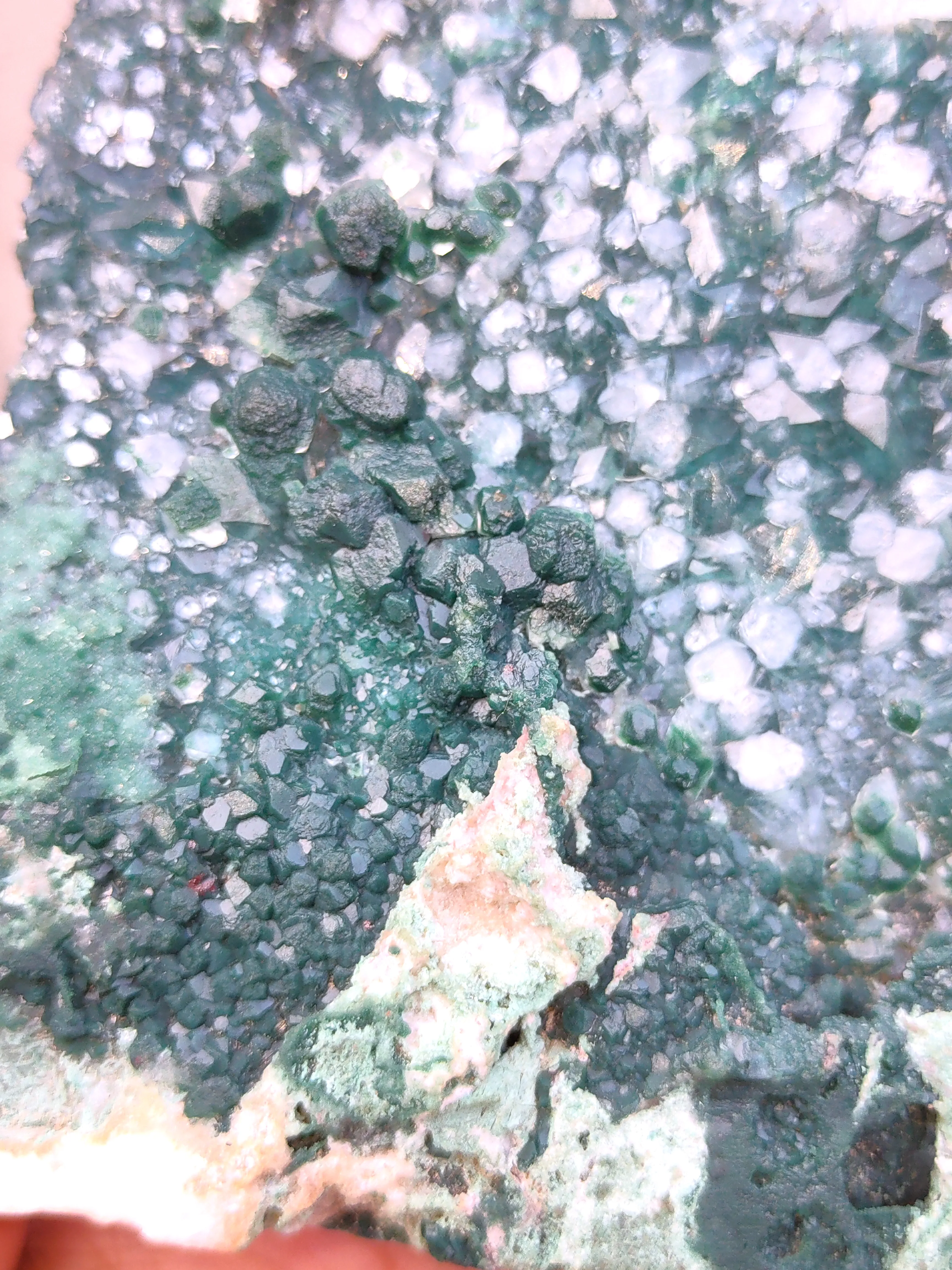 Marshy Celedonite Green Apophyllite - image 6