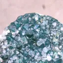 Marshy Celedonite Green Apophyllite - image 4