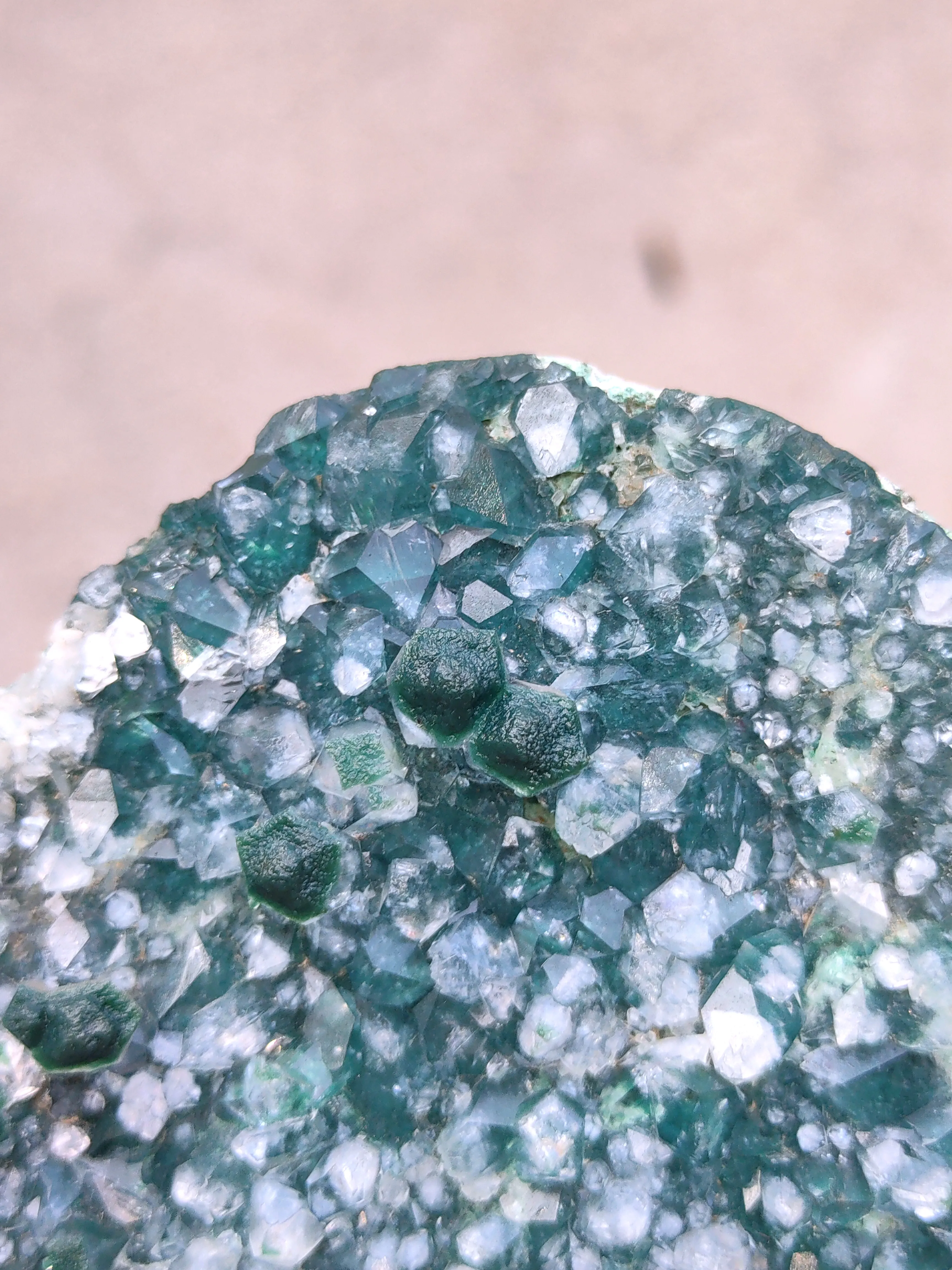 Marshy Celedonite Green Apophyllite - image 4