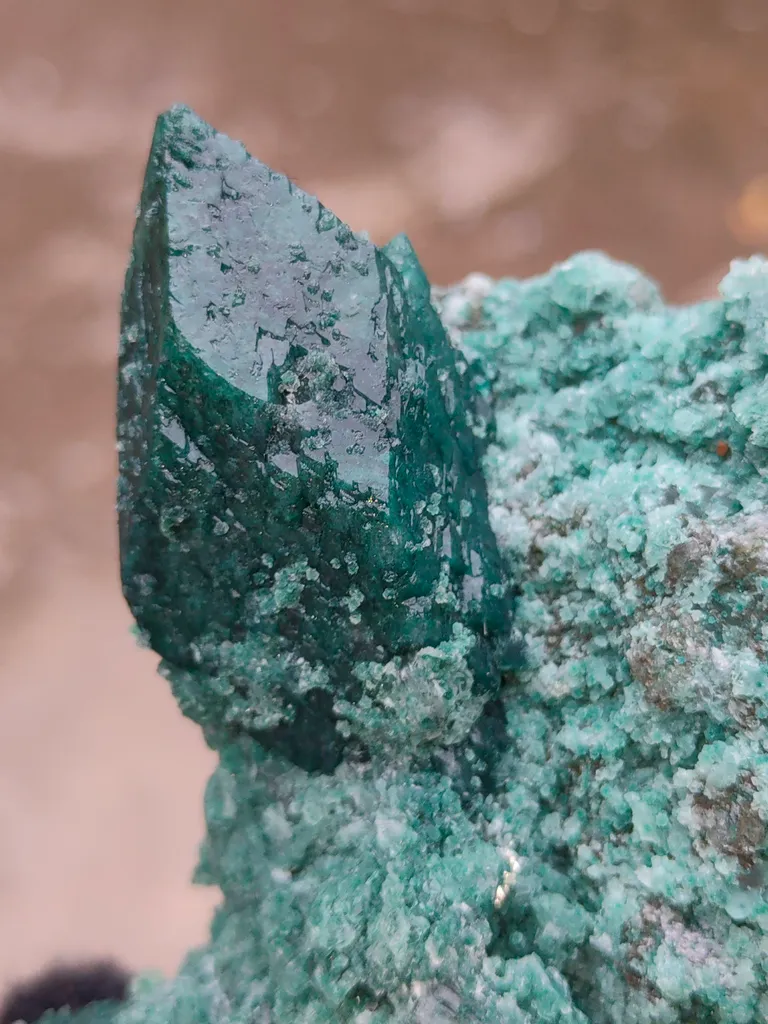 Marshy Celedonite Green Apophyllite Natural Mineral specimen - image 5