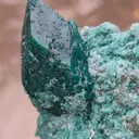 Marshy Celedonite Green Apophyllite Natural Mineral specimen - image 5