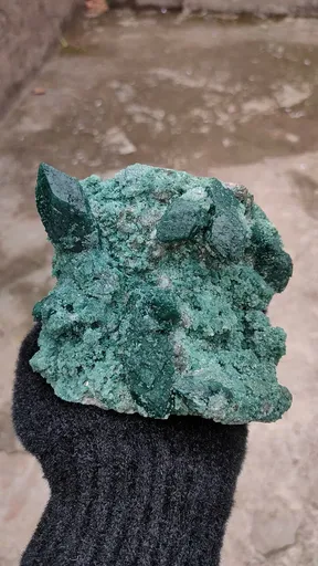 specimen video