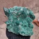Marshy Celedonite Green Apophyllite Natural Mineral specimen - image 2