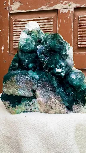 specimen video