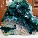 specimen video