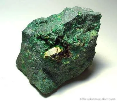 Marthozite and Micro Yellow Species image