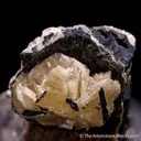Matlockite (TL) on Galena - image 1