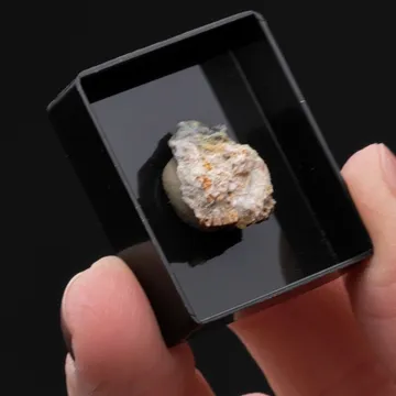 MATTHEDDLEITE with Cerussite Caledonite and Baryte