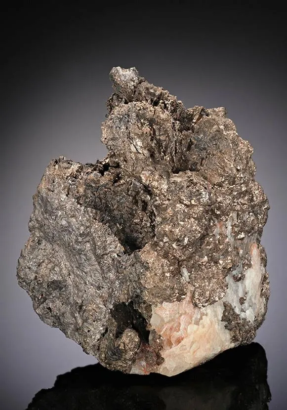 MAUCHERITE with Nickeline - image 1
