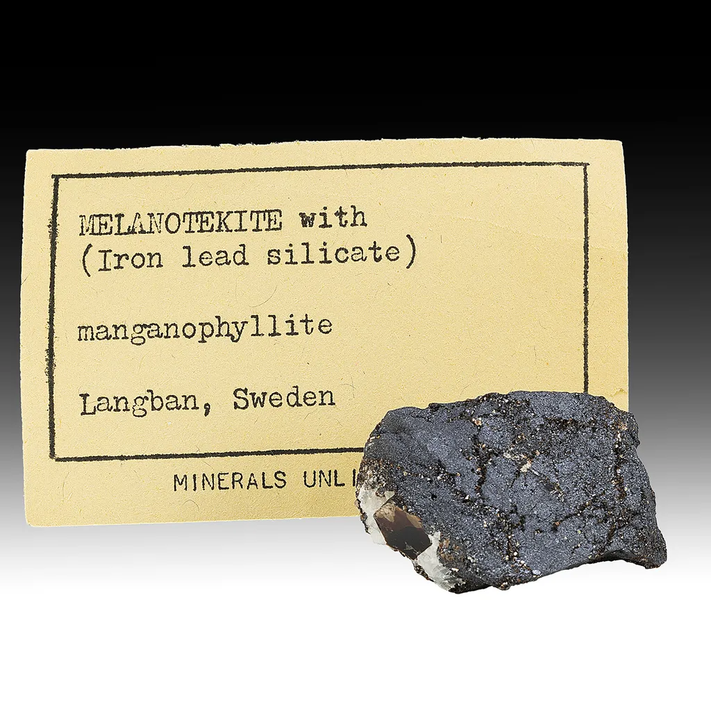 Melanotekite with Phlogopite image