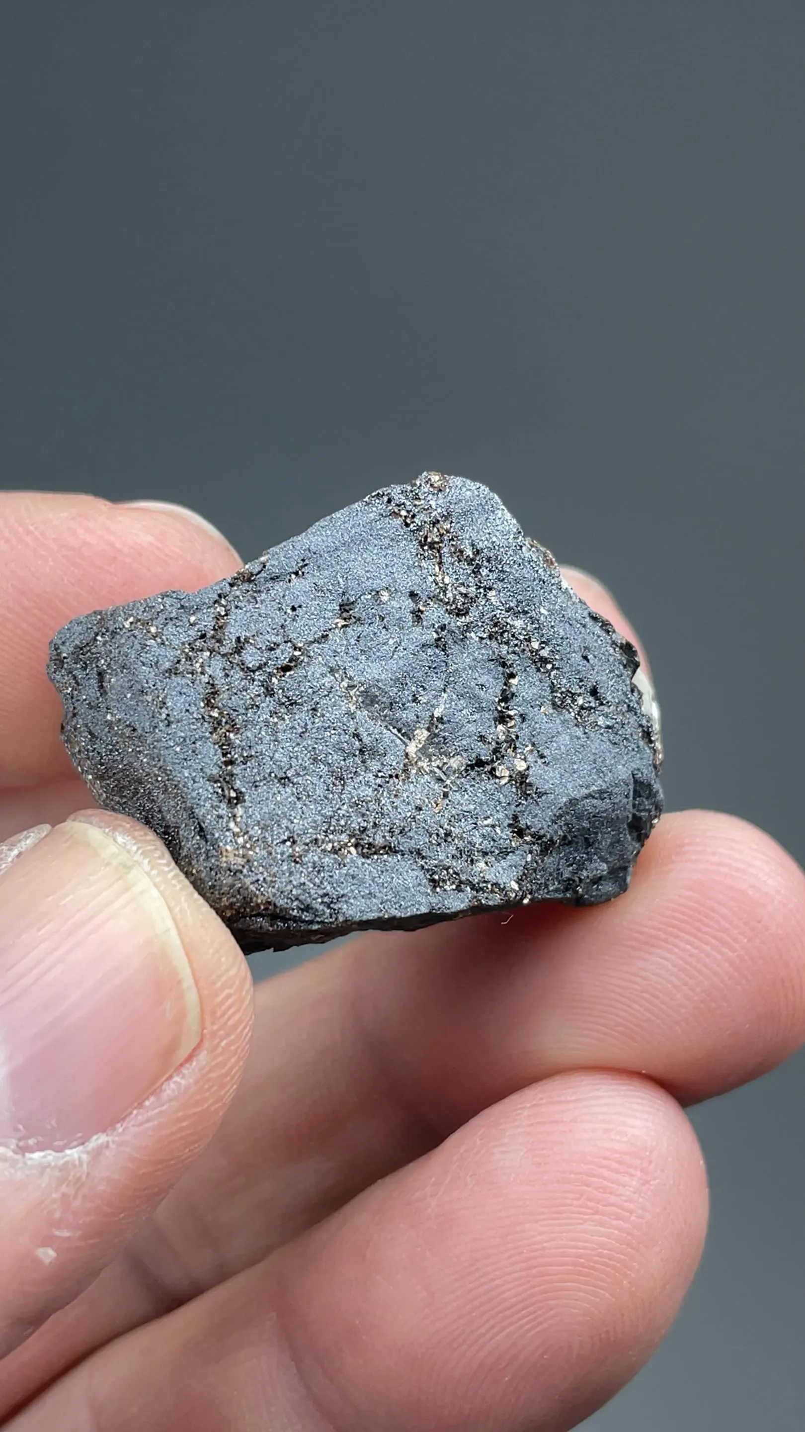 Melanotekite with Phlogopite - image 2