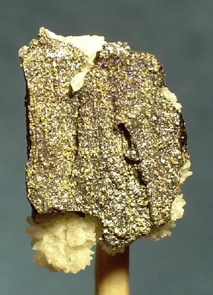 Melonite, Calaverite image