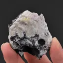 MENDIPITE with PARALAURIONITE CHLOROXIPHITE and Diaboleite - image 2