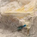 MENDIPITE with PARALAURIONITE CHLOROXIPHITE and Diaboleite - image 1