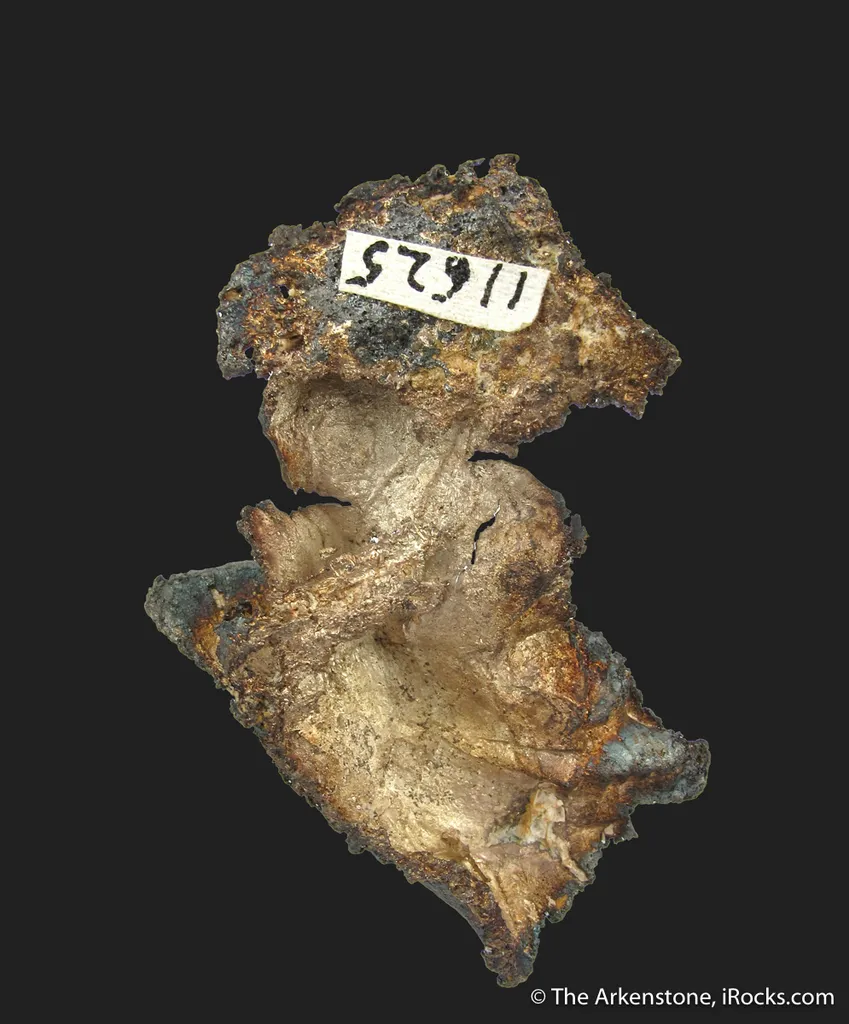 Mercury-rich Silver var. Kongsbergite - image 4