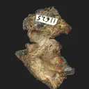 Mercury-rich Silver var. Kongsbergite - image 4