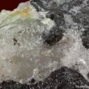 Mereheadite (type locality) with Crednerite (ex. BMNH) - image 4