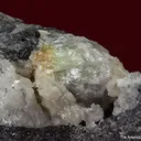 Mereheadite (type locality) with Crednerite (ex. BMNH) - image 3