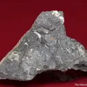 Mereheadite (type locality) with Crednerite (ex. BMNH) - image 2