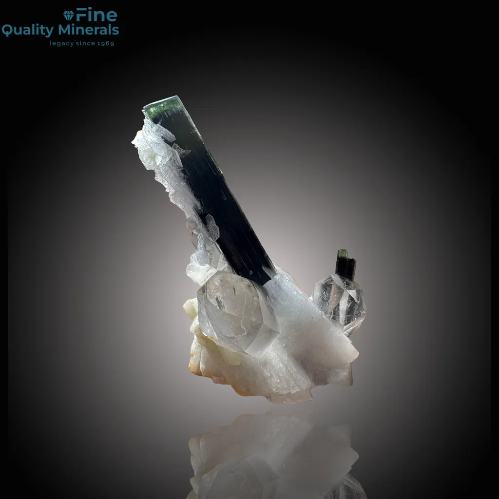 Mesmerizing Tourmaline with Quartz Matrix – A Skardu Masterpiece image