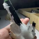 specimen video
