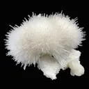 Mesolite, Apophyllite, Stilbite on Mordenite - Natural Mineral Specimen - image 3