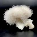 Mesolite, Apophyllite, Stilbite on Mordenite - Natural Mineral Specimen - image 1