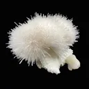 Mesolite, Apophyllite, Stilbite on Mordenite - Natural Mineral Specimen - image 2