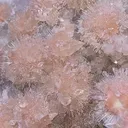 Mesolite calcite - image 1