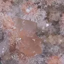 Mesolite calcite - image 5