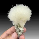 Mesolite from Pune District, Pune Division, Maharashtra, India - image 1