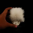 Mesolite on Heulandite Natural Mineral Specimen - image 5