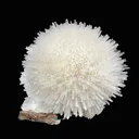 Mesolite on Mordenite Natural Mineral Specimen – Rare White Zeolite Spray from India - image 3