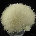 Mesolite on Stilbite - image 5