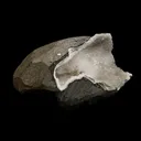 Mesolite Porcupine  Spray inside MM Quartz Geode Natural Mineral Specimen - image 2