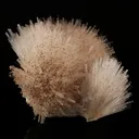 Mesolite Spray Natural Mineral Specimen - image 4