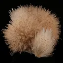 Mesolite Spray Natural Mineral Specimen - image 1