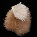 Mesolite Spray Natural Mineral Specimen - image 5